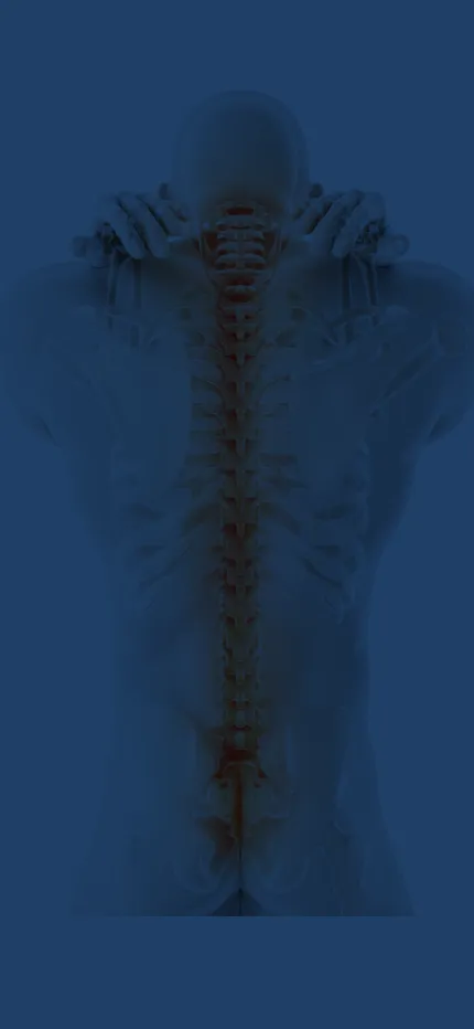 New Spine クリニック東京3_SP